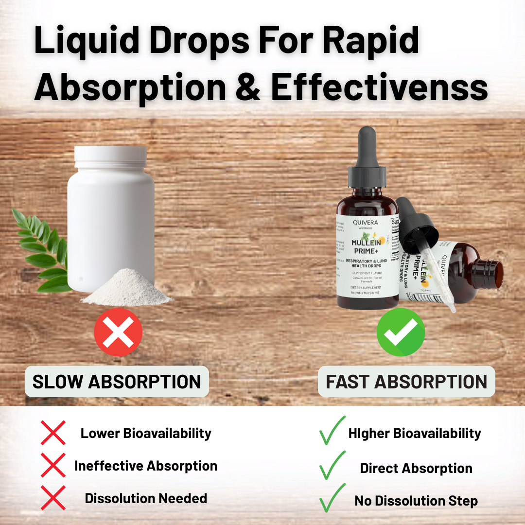 Mullein Prime+ Lung Cleanse & Detox Drops